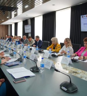 Вопросы защиты прав граждан с психическими расстройствами обсудили в Кузбассе на совете Уполномоченных по правам человека СФО