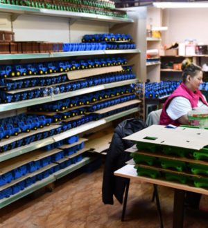 В Кузбассе количество выпускающих детские товары фирм выросло на 41,5% за 3 года