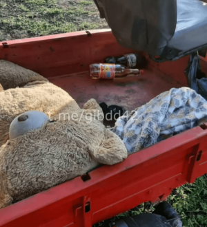 В Кузбассе 7 детей пострадали в ДТП за минувшие сутки
