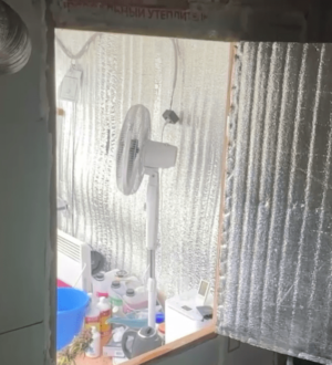 Житель Таштагола вырастил плантацию конопли в своем гараже