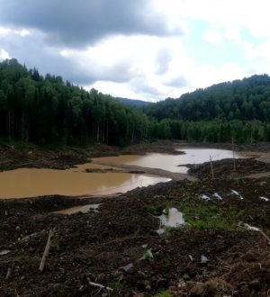 Очередных загрязняющих природу золотодобытчиков поймали за руку в Кузбассе