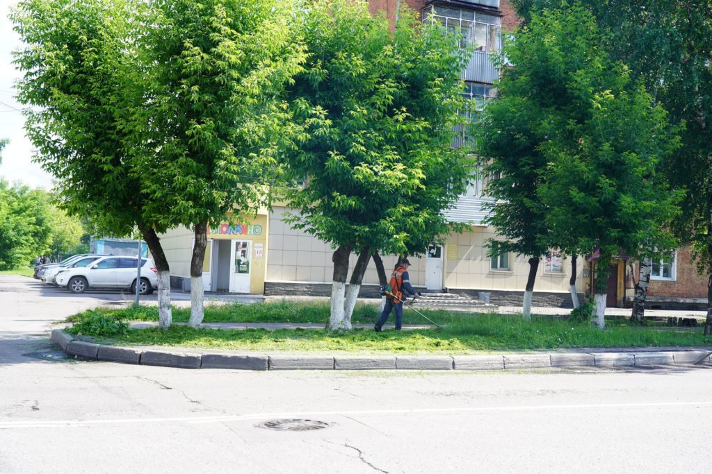 Траву скосили, дом сносят: в муниципалитетах выполняют поручения губернатора Кузбасса после прямого эфира