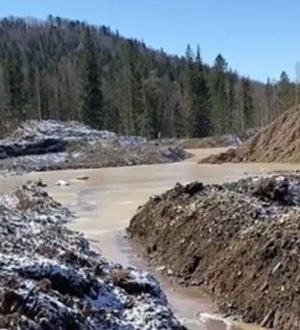 Работу двух золотодобывающих предприятий в Кузбассе приостановили на три месяца