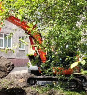 Из-за яблонь замена труб в Кемерове превратилась в спецоперацию