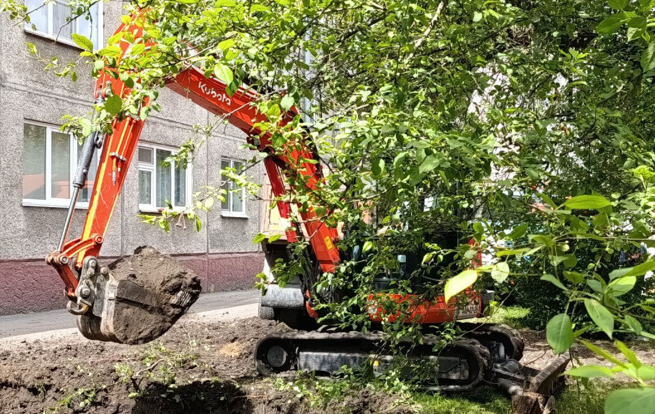 Из-за яблонь замена труб в Кемерове превратилась в спецоперацию