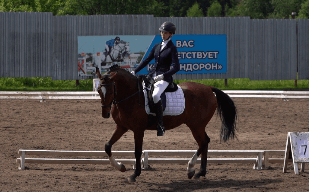 Наездники Кузбасса демонстрируют свое мастерство на чемпионате и первенстве региона по конному спорту