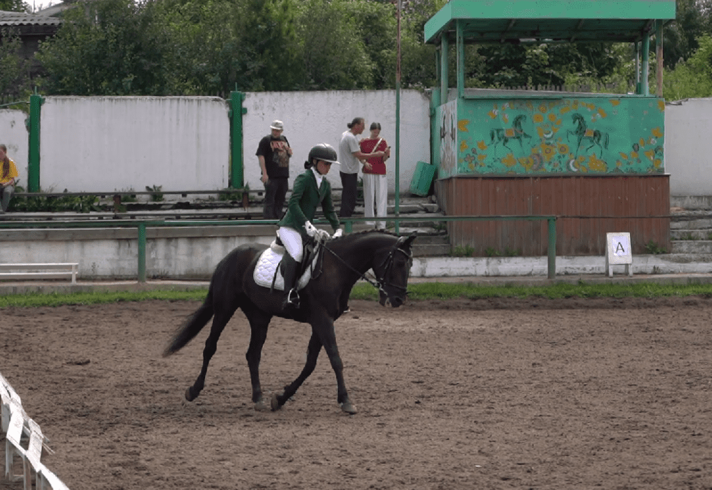 Наездники Кузбасса демонстрируют свое мастерство на чемпионате и первенстве региона по конному спорту