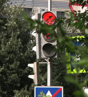 Кузбассовцев будут штрафовать за самовольную вырубку кустов в населенных пунктах