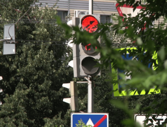 Кузбассовцев будут штрафовать за самовольную вырубку кустов в населенных пунктах