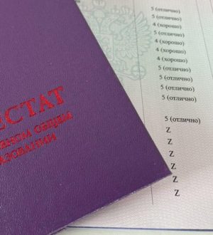 В Кузбассе разрабатывают программу для поощрения отличившихся детей