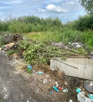Глава Анжеро-Судженска назвал причину несанкционированных свалок в округе