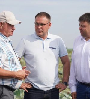 Сельхозпредприятие в Кемеровском округе начало собирать ранний урожай овощей