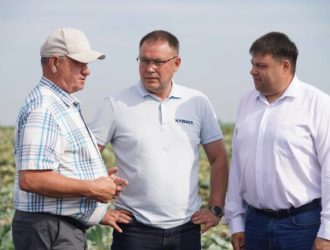 Сельхозпредприятие в Кемеровском округе начало собирать ранний урожай овощей  