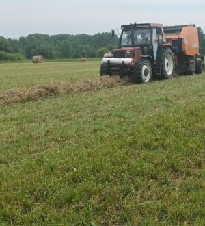 В Кузбассе заготовили более 24 тысяч тонн сена