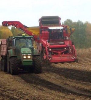 Агроновости без воды: как Минсельхоз Кузбасса прокачал свои страницы в соцсетях