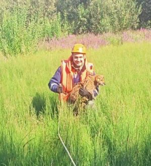 В Кузбассе спасли оказавшегося в двойной ловушке щенка