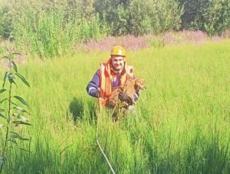 В Кузбассе спасли оказавшегося в двойной ловушке щенка