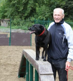 Легендарную площадку для выгула собак открыли в Кемерове после реконструкции