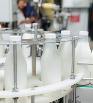 Предприятие в Кузбассе увеличит выпуск кефира и ряженки благодаря нацпроекту