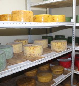 Для сельхозкооперативов Кузбасса предусмотрено свыше 53 млн рублей господдержки