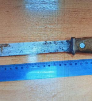 Житель Полысаева пойдет под суд за угрозы жене и убийство собаки