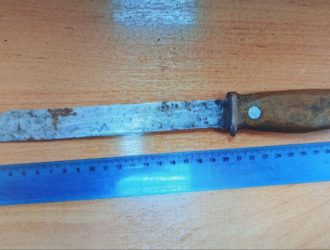 Житель Полысаева пойдет под суд за угрозы жене и убийство собаки