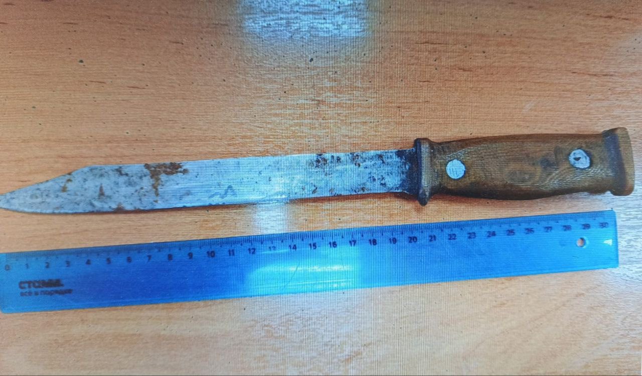 Житель Полысаева пойдет под суд за угрозы жене и убийство собаки