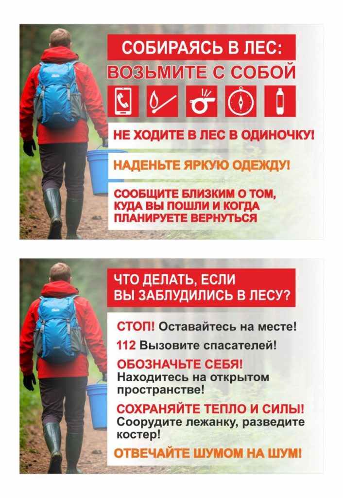 За последние трое суток в лесах Кузбасса заблудились 25 человек