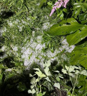 В Новокузнецком округе прошел крупный град