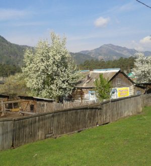 Бастрыкин заинтересовался неприглядными участками для льготников в Кузбассе