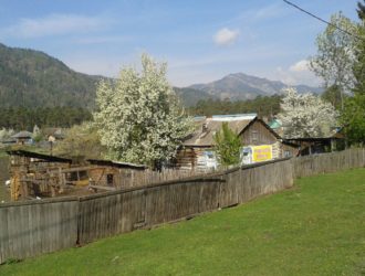 Бастрыкин заинтересовался неприглядными участками для льготников в Кузбассе