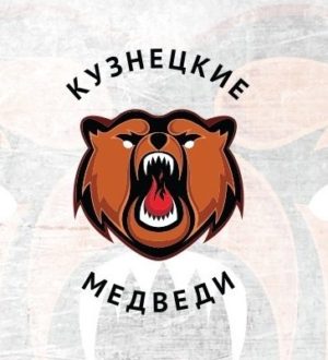 Пять игроков ушли: в составе «Кузнецких Медведей» произошли изменения