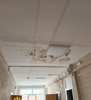 Крыша протекает: проблемная ситуация в одной из школ Новокузнецка потребовала вмешательства мэра