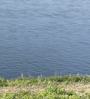 С начала лета в черте Новокузнецка утонули 11 человек