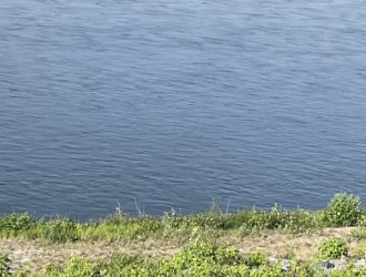 С начала лета в черте Новокузнецка утонули 11 человек