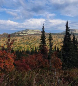 Кузбассовцам напомнили о кешбэке за отдых в Шерегеше