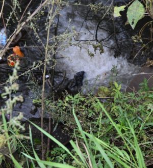 Илья Середюк рассказал, как власти будут бороться с подтоплениями в Белове