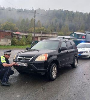 В Кузбассе тысячи водителей попались в «Паутину»
