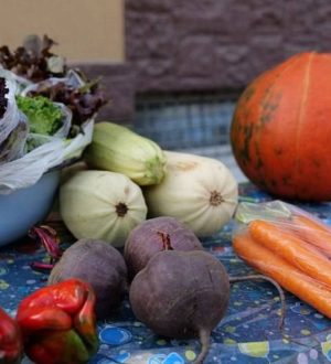 Кемеровчане смогут закупиться продуктами на сельскохозяйственной ярмарке