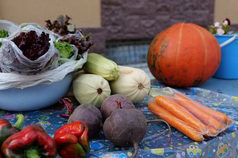 Кемеровчане смогут закупиться продуктами на сельскохозяйственной ярмарке