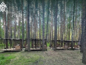 Сбежавшие из кузбасского «Хаски Лэнда» собаки покусали селянку и загрызли ее пса