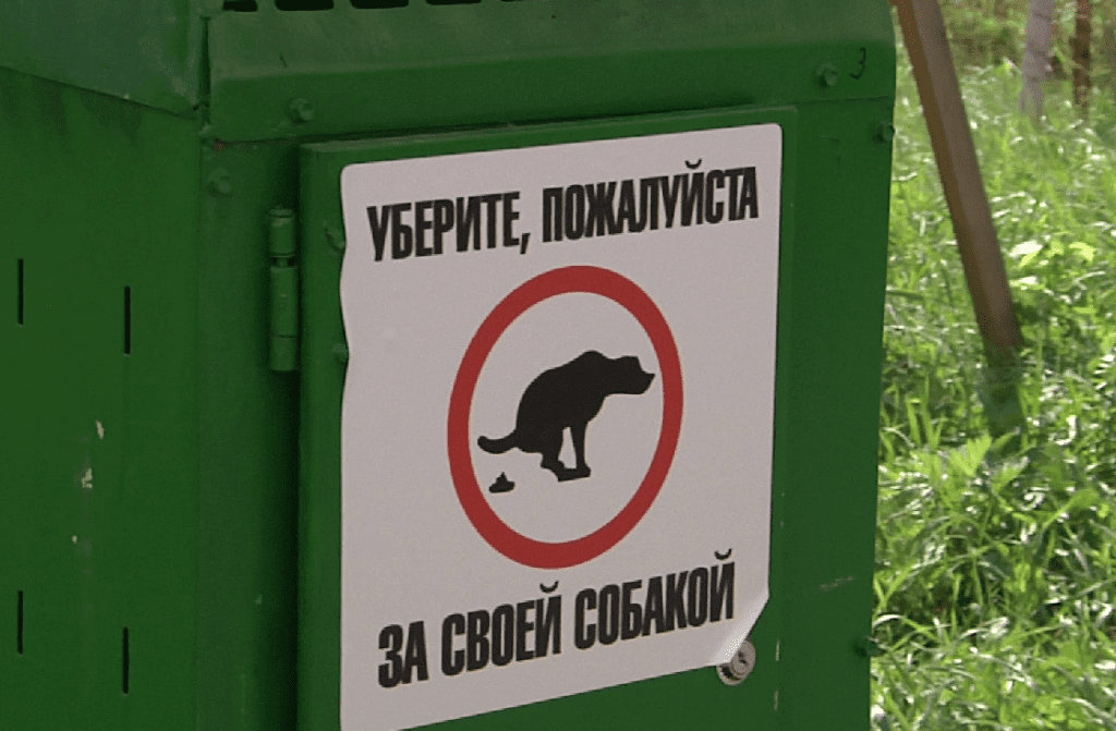 В Новокузнецке владельцев собак призвали к порядку и поставили специальные дог-боксы