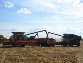 С полей Кузбасса уже собрали более 1,1 млн тонн зерна