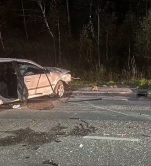 В Таштаголе насмерть разбился водитель на иномарке, врезавшись в опору освещения