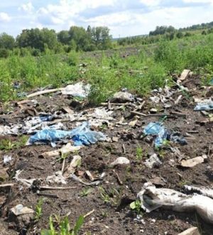 В Тяжинском округе на сельскохозяйственном участке устроили свалку