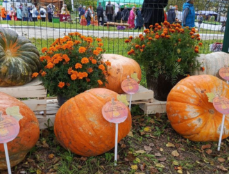 В Яшкинском районе прошел фестиваль-конкурс «Пачинская тыква»