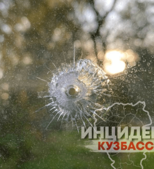 Соцсети: в Салаире подростки 1,5 месяца кошмарят жителей, стреляя по окнам  