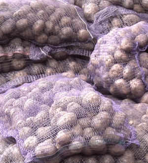 В Новокузнецке заработали овощные ярмарки