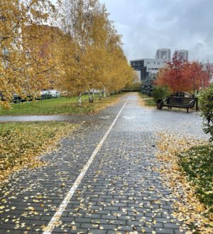 С понедельника в Кузбассе резко похолодает