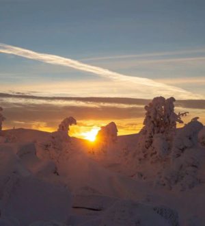 Выходные по-умному: как подключить программу лояльности и получать от 20% кешбэка за отдых в горах Кузбасса